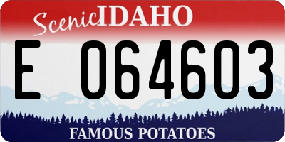 ID license plate E064603