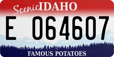 ID license plate E064607