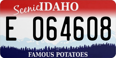 ID license plate E064608
