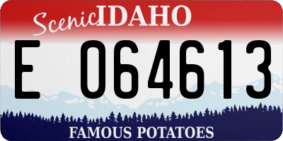 ID license plate E064613