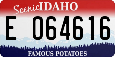 ID license plate E064616