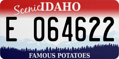 ID license plate E064622