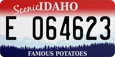 ID license plate E064623