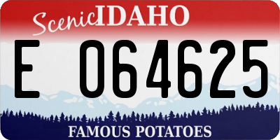 ID license plate E064625