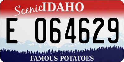 ID license plate E064629