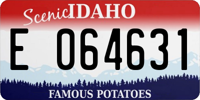 ID license plate E064631