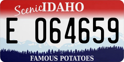 ID license plate E064659