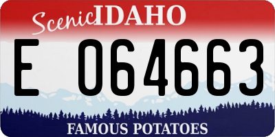 ID license plate E064663