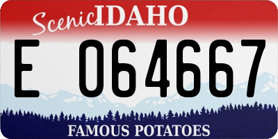 ID license plate E064667