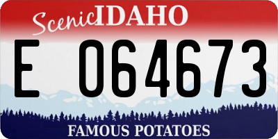 ID license plate E064673