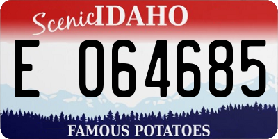 ID license plate E064685