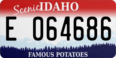 ID license plate E064686