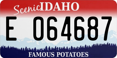 ID license plate E064687