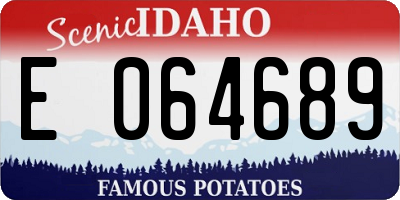 ID license plate E064689