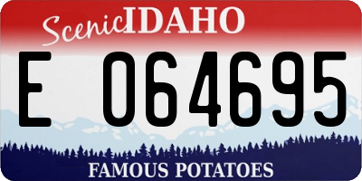 ID license plate E064695