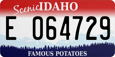 ID license plate E064729