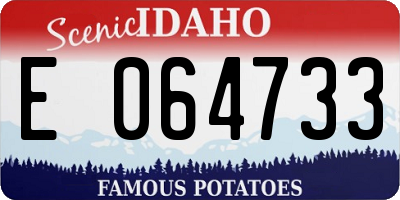 ID license plate E064733