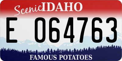 ID license plate E064763