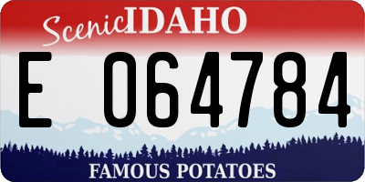 ID license plate E064784