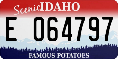ID license plate E064797