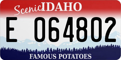 ID license plate E064802