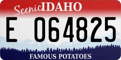 ID license plate E064825