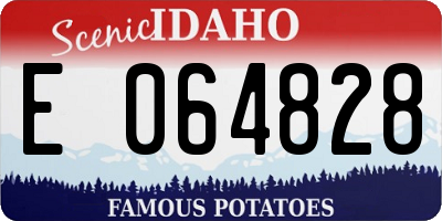 ID license plate E064828