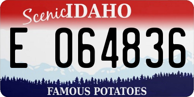 ID license plate E064836