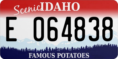 ID license plate E064838