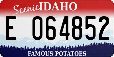 ID license plate E064852