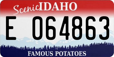 ID license plate E064863