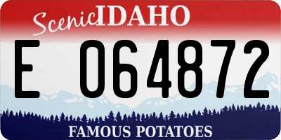 ID license plate E064872
