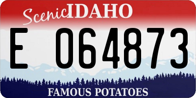 ID license plate E064873