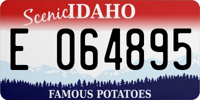 ID license plate E064895