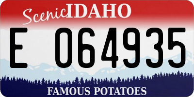 ID license plate E064935