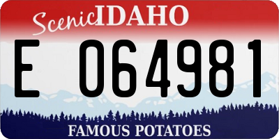 ID license plate E064981