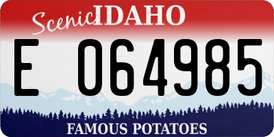 ID license plate E064985