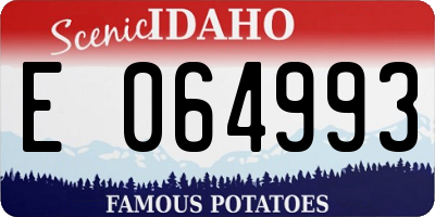 ID license plate E064993