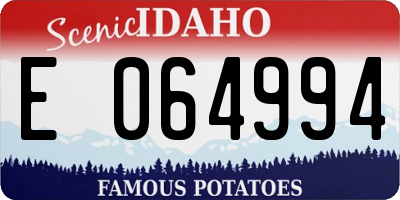 ID license plate E064994