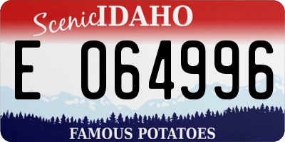 ID license plate E064996