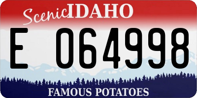 ID license plate E064998