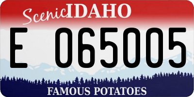 ID license plate E065005