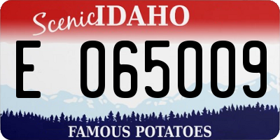ID license plate E065009