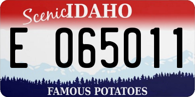 ID license plate E065011