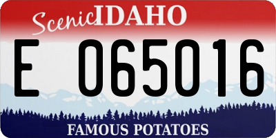 ID license plate E065016