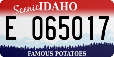ID license plate E065017