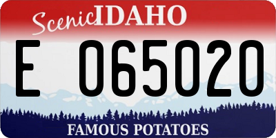ID license plate E065020