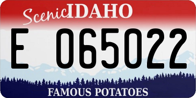 ID license plate E065022