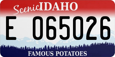 ID license plate E065026