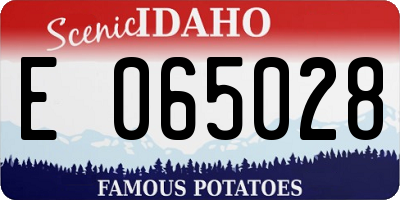 ID license plate E065028